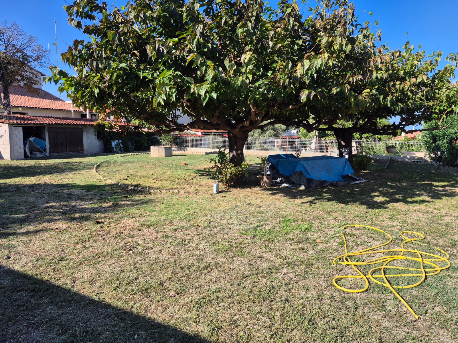 PHOTO-2025-09-15-12-50-47